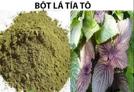 Bài thuốc sơ cứu khi ngộ độc thức ăn