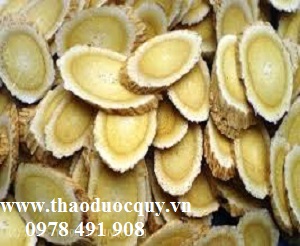 Bài thuốc tốt cho người phục hồi sau đột quỵ nhồi máu não