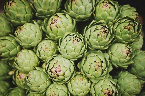 2 món chay ngon bổ từ hoa Atiso