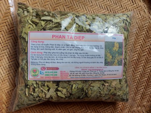 Công dụng và cách dùng phan tả diệp