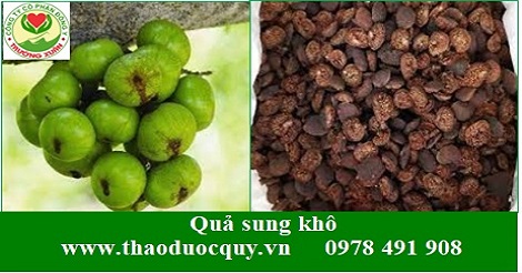 Quả sung-