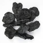 CÁC MÓN ĂN BÀI THUỐC TỪ THỤC ĐỊA