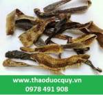 Cách dùng địa long/ giun đất phục hồi sau tai biến