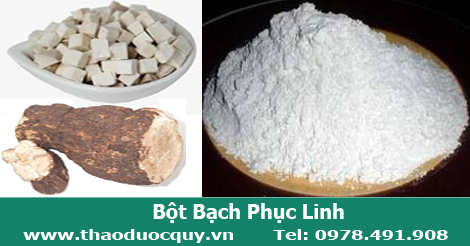 bột bạch phục linh