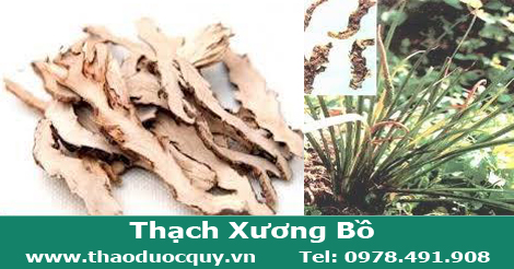 thach_xuong_bo