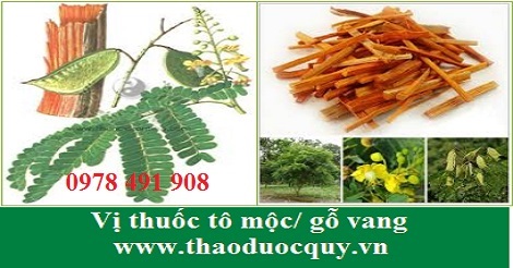 t&ocirc; mộc