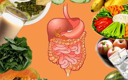 Bài thuốc dân gian trị rối loạn tiêu hóa tại nhà