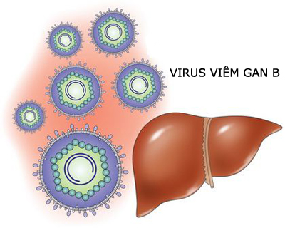 Các nguyên nhân gây bệnh viêm gan B