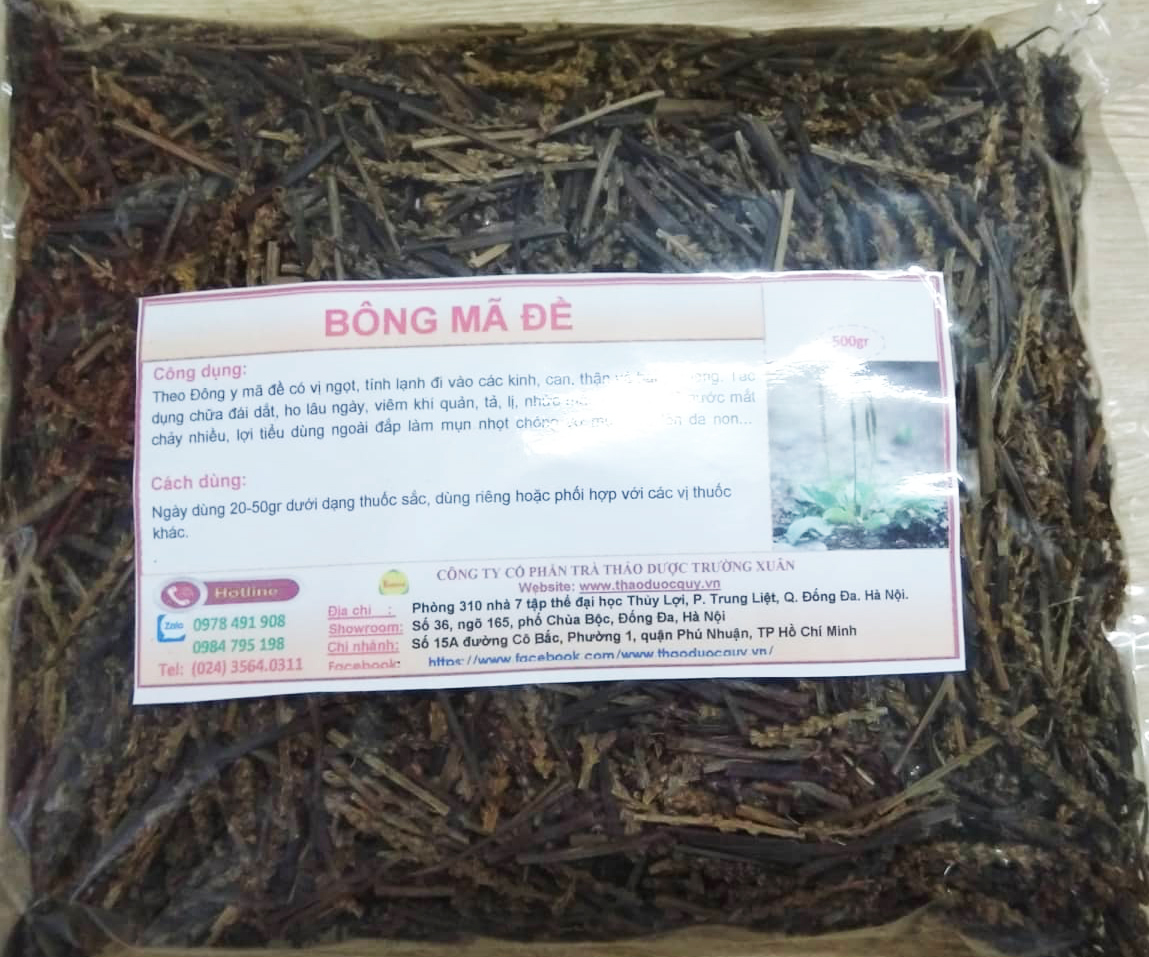 B&ocirc;ng m&atilde; đề kh&ocirc;