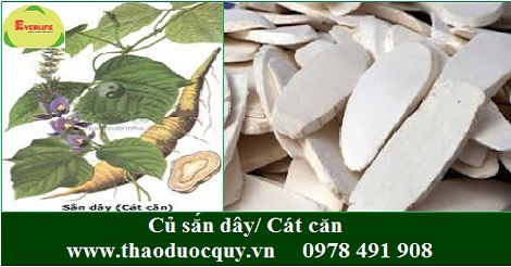 Cát căn
