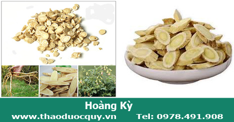Ho&agrave;ng Kỳ