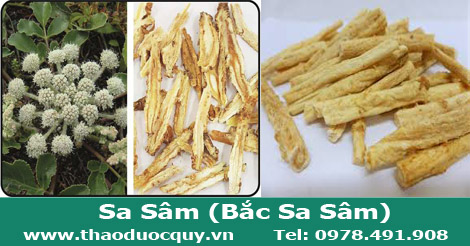 Sa sâm