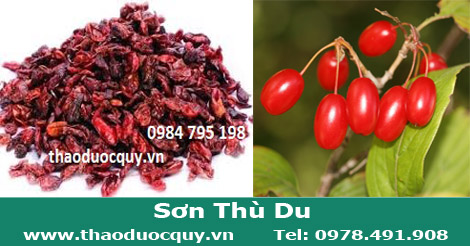 Sơn th&ugrave; du
