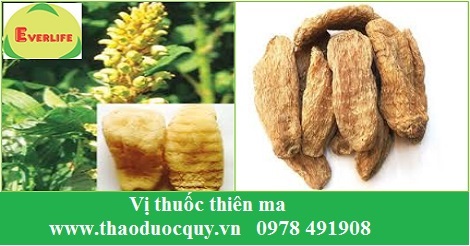 Thiên ma