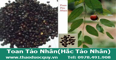 H&igrave;nh ảnh Toan T&aacute;o Nh&acirc;n hay c&ograve;n gọi l&agrave; Hắc T&aacute;o Nh&acirc;n